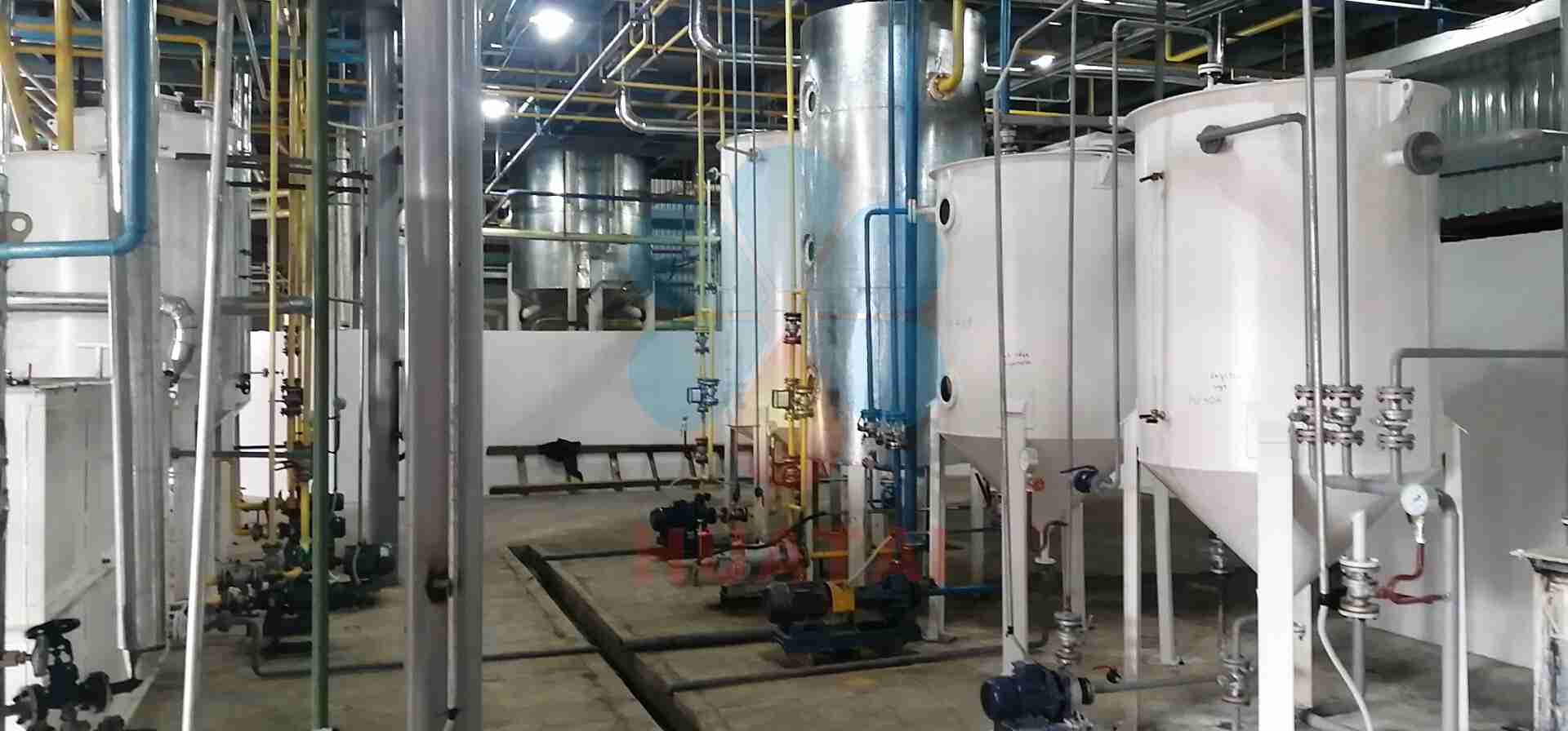 sunflower oil refinery machine
